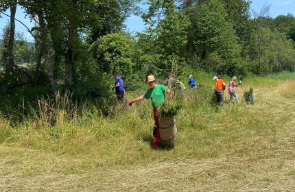 Das Bild zeigt eine Gruppe von acht Freiwilligen bei ihrem Einsatz in der Natur.