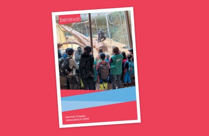 benevol Schweiz Jahresbericht 2024